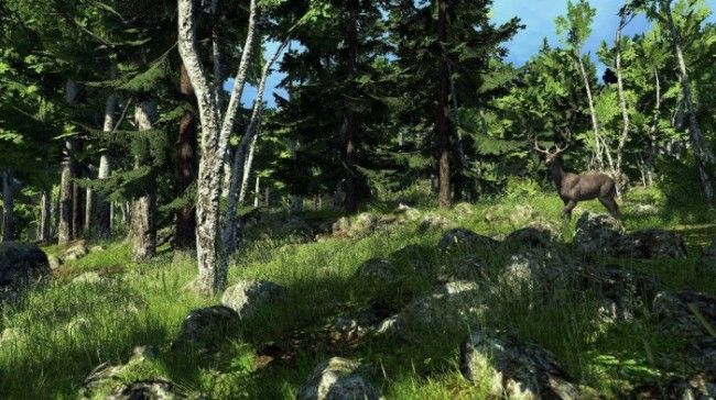 Game Review – The Hunter; With Gameplay Video