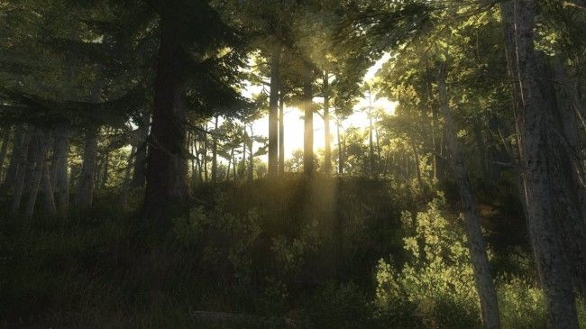 The Hunter – Game Update And Supplemental Review