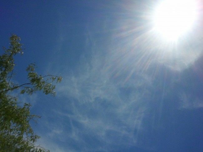 Hello, Phoenix!