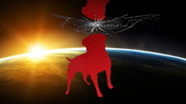 Is Zynga Doomed?