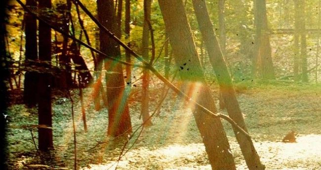 Childish Gambino “Camp” – Music Review